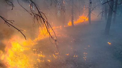 Протягом доби на Миколаївщині сталися 12 пожеж, чотири з них — внаслідок обстрілів Протягом доби на Миколаївщині сталися 12 пожеж, чотири з них — внаслідок обстрілів
