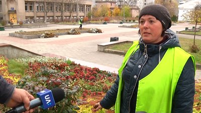 КП "Зеленбуд" у Житомирі готує квітники та рослини до зимівлі