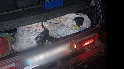 Незаконне полювання: на Полтавщині в автомобілі виявили м’ясо дикої тварини Незаконне полювання: на Полтавщині в автомобілі виявили м’ясо дикої тварини