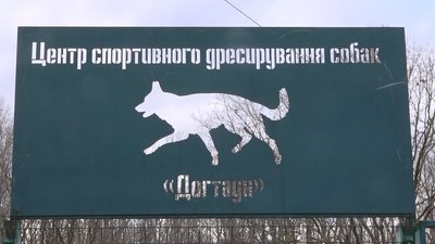 Одеський суд визнав будівництво центру "Догтаун" незаконним