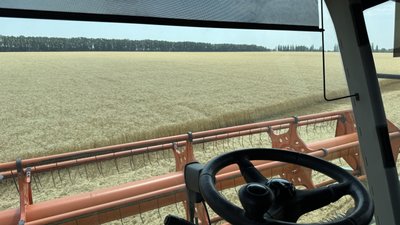 Жнива на Полтавщині: яка урожайність Жнива на Полтавщині: яка урожайність