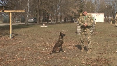 На фото кінолог Віталій разом зі своєю голландською вівчаркою. На фото кінолог Віталій разом зі своєю голландською вівчаркою.