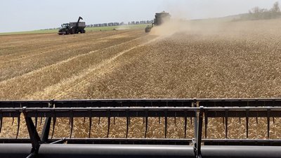 Перший врожай на розмінованому полі збирають у Барвінківській громаді Перший врожай на розмінованому полі збирають у Барвінківській громаді