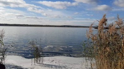У одну з водойм Хмельниччини планують запустити понад 200 тисяч рибин коропа та амура