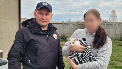 Кошеня передали зоозахисникам