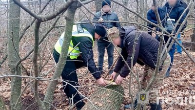 На Вінниччині затримали лісорубів, які завдали шкоди екології на мільйон гривень