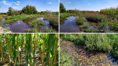 На водогоні біля Кропивницького місяць не ліквідовують порив На водогоні біля Кропивницького місяць не ліквідовують порив