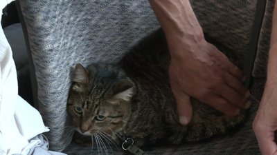 На Харківщині волонтери евакуюють жителів тимчасово окупованих територій до Польщі На Харківщині волонтери евакуюють жителів тимчасово окупованих територій до Польщі
