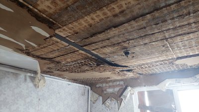 пошкодження циркуни пошкодження циркуни