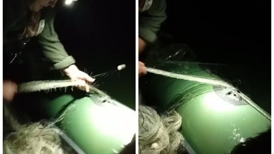 сітки, риба, вилов риби