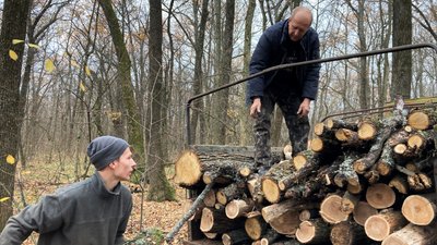 Харківщина напередодні зими: скільки дров можуть заготувати лісгоспи