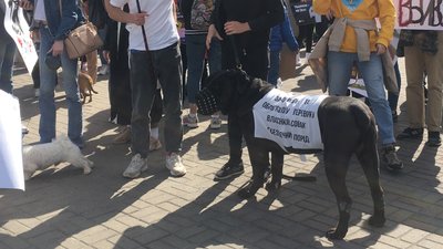 Марш за права тварин Марш за права тварин