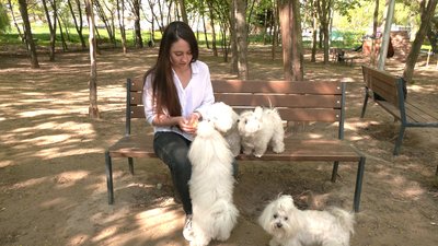 "Є нюанс, у нас чотири пси": журналістка Суспільного прихистила у Рівному знайомих з Києва та Маріуполя "Є нюанс, у нас чотири пси": журналістка Суспільного прихистила у Рівному знайомих з Києва та Маріуполя