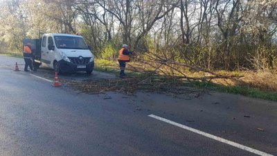 Вітер повалив на дороги понад три десятки дерев Вітер повалив на дороги понад три десятки дерев