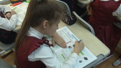 Сертифікація черкаських вчителів: скільки педагогів її пройшли та що це значить Сертифікація черкаських вчителів: скільки педагогів її пройшли та що це значить