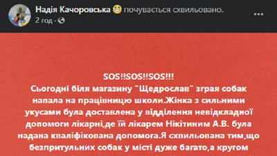 У місті в Хмельницькій області безпритульні собаки покусали жінку. Фото: Фейсбук