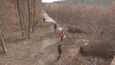 на Вінниччині розпочався щорічний підрахунок диких тварин на Вінниччині розпочався щорічний підрахунок диких тварин