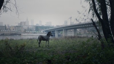 У Житомирі стартує мандрівний фестиваль документального кіно про права людини "Docudays UA" У Житомирі стартує мандрівний фестиваль документального кіно про права людини "Docudays UA"