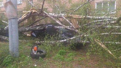 Знеструмлено понад 18 тисяч абонентів та повалені дерева: наслідки негоди на Рівненщині Знеструмлено понад 18 тисяч абонентів та повалені дерева: наслідки негоди на Рівненщині