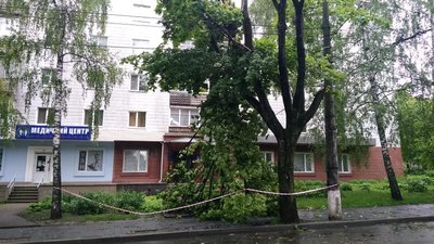 Часткове знеструмлення та повалені дерева - результати негоди в Сумах Часткове знеструмлення та повалені дерева - результати негоди в Сумах