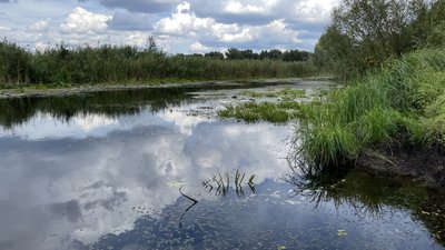 У Пирятині міліє річка Удай: які причини та як вирішити проблему У Пирятині міліє річка Удай: які причини та як вирішити проблему