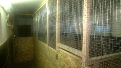 У зоопарку Рівного закликають купувати квитки онлайн, аби допомогти тваринам У зоопарку Рівного закликають купувати квитки онлайн, аби допомогти тваринам