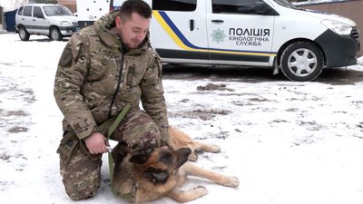 Торін на пенсії: як живе пес, який 10 років відслужив у поліції Рівненщини Торін на пенсії: як живе пес, який 10 років відслужив у поліції Рівненщини