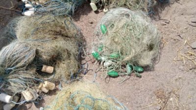 Заборонене знаряддя вилову. Рибоохоронний патруль Миколаївщини за добу вилучив 10 сіток
