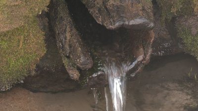 На Черкащині шукають фахівців, які візьмуться за відродження козацького джерела На Черкащині шукають фахівців, які візьмуться за відродження козацького джерела