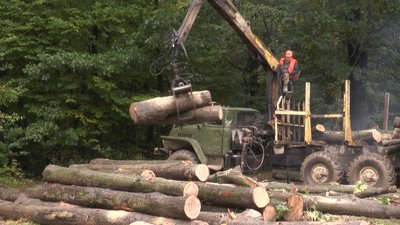 На Івано-Франківщині попит на дрова у лісництвах у 2022 році зріс удвічі На Івано-Франківщині попит на дрова у лісництвах у 2022 році зріс удвічі
