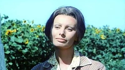 Софі Лорен у фільмі "Соняшники", 1970 року Софі Лорен у фільмі "Соняшники", 1970 року
