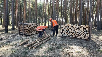 Заготівля та продаж дров