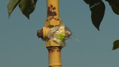 На Миколаївщині селяни п’яту добу поспіль залишаються без газу