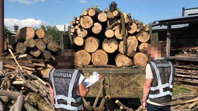 У Яворівському національному природному парку на Львівщині вирубали ліс на понад 2 млн грн