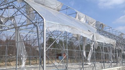 Теплиця після вторгнення РФ, 22 березня 2023 рік/ Фото: Суспыльне Донбас Теплиця після вторгнення РФ, 22 березня 2023 рік/ Фото: Суспыльне Донбас