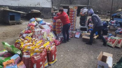 "Це було не просто, але ми це зробили". Кропивницькі волонтери вивезли за кордон 15 тварин "Це було не просто, але ми це зробили". Кропивницькі волонтери вивезли за кордон 15 тварин