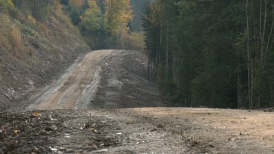 За однією версією, мета ремонту лісового шляху — доступ до лісів в разі пожежі, а також для санітарних рубок лісу За однією версією, мета ремонту лісового шляху — доступ до лісів в разі пожежі, а також для санітарних рубок лісу