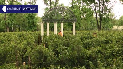 В житомирському міському парку знову запрацював атракціон "Зелений лабіринт"
