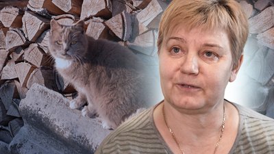 Пічне опалення під час відключень світла і морозів, плюси пічного опалення