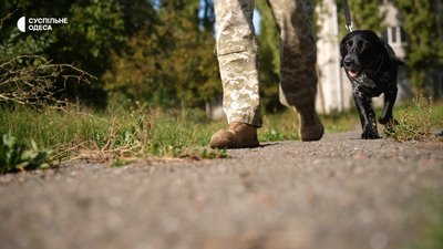 Одеські прикордонники вчать собак шукати наркотики та небезпечні предмети Одеські прикордонники вчать собак шукати наркотики та небезпечні предмети