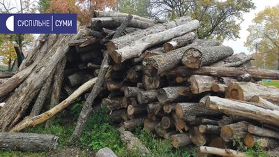 Громади Сумщини вмикають опалення у закладах, які працюють на альтернативних джерелах енергії