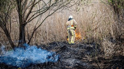 У Сумах на озері Чеха горіла суха трава — ДСНС У Сумах на озері Чеха горіла суха трава — ДСНС