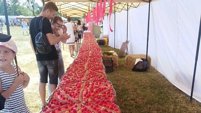 На Вінниччині на фестивалі спекли найбільший в Україні малиновий пиріг На Вінниччині на фестивалі спекли найбільший в Україні малиновий пиріг
