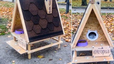 У Кропивницькому встановили будинок для бездомних котів У Кропивницькому встановили будинок для бездомних котів