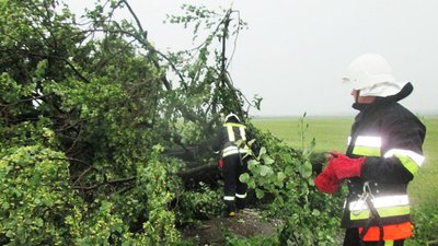 Рятувальні підрозділи розчищали заблоковані поваленими деревами дороги. Фото: ДСНС Рятувальні підрозділи розчищали заблоковані поваленими деревами дороги. Фото: ДСНС