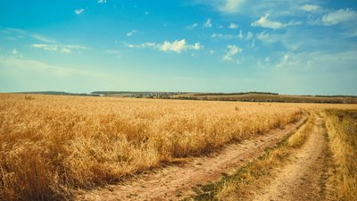 Фермери у Криму — фіксують порушення у використанні пестицидів