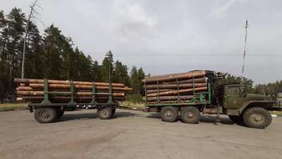 На Житомирщині на кордоні затримали вантажівки з лісом-кругляком без маркування