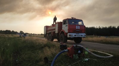 На Луганщині згоріло близько 85 га лісу