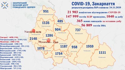 На Закарпатті за добу діагностували понад 300 випадків COVID-19