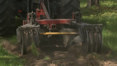 Для створення мінералізованих смуг використовують дискові борони.